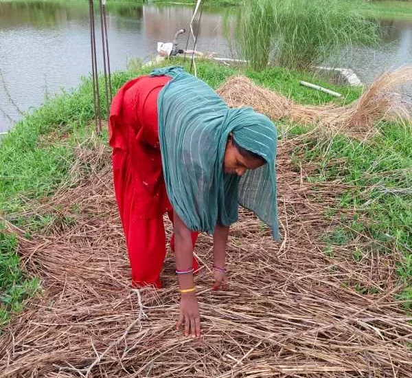 बाल विवाह : कच्ची उम्र में पक्की व बड़ी जिम्मेदारियां