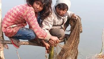 कड़ाके की ठंड में तालाब के ठंडे पानी में जाल से मछली पकड़ते ग्रामीण बच्चे, सर्द मौसम में फिशिंग करते हुए मेहनत और संघर्ष की झलक दिखाती तस्वीर